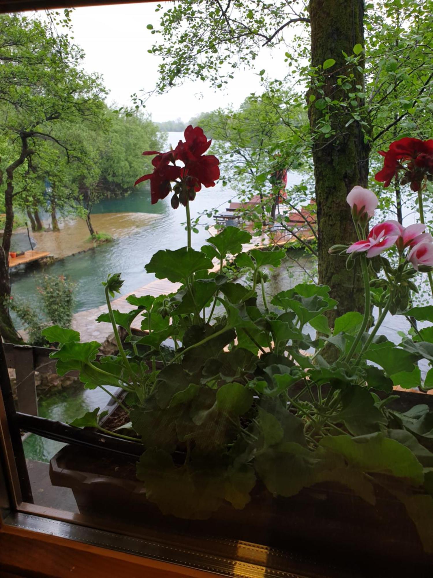 Apartments Mlin Bihac Bagian luar foto